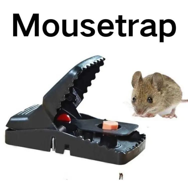 Black Mouse Trap 🐭💥 | Safe, Reusable & Powerful Grip
